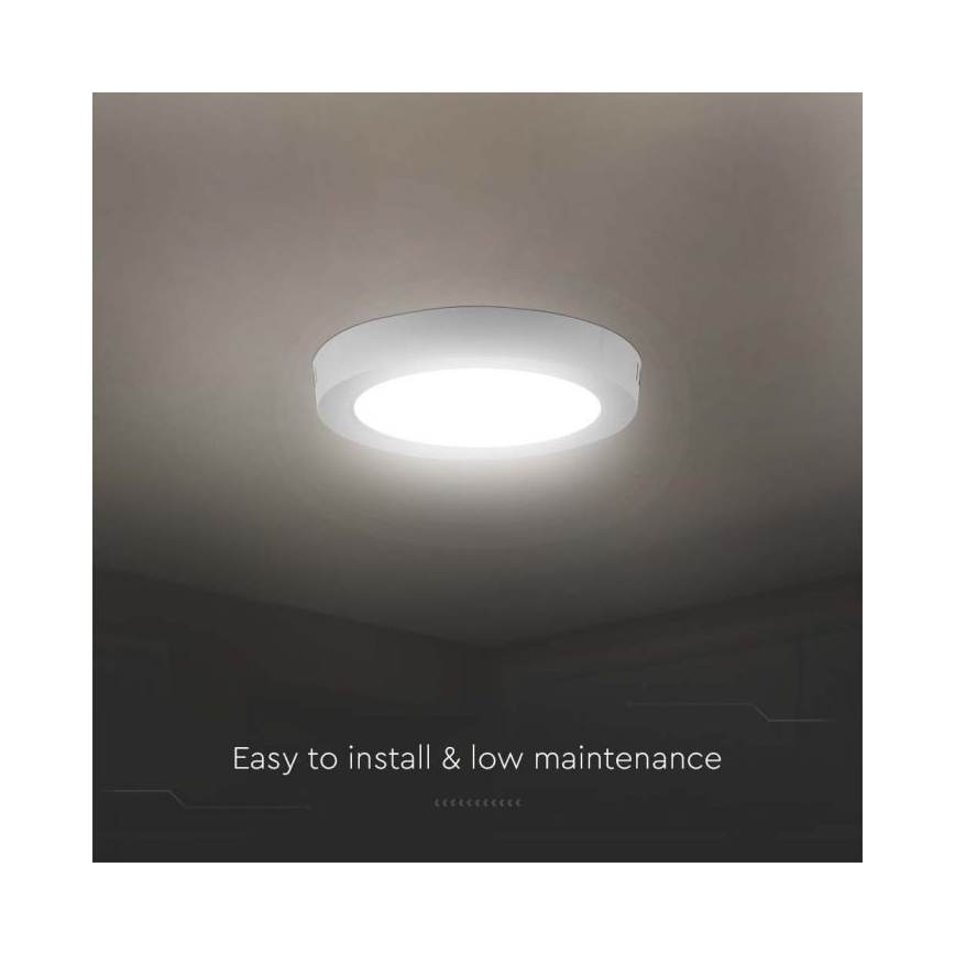 LED Griestu lampa LED/6W/230V 6500K balta