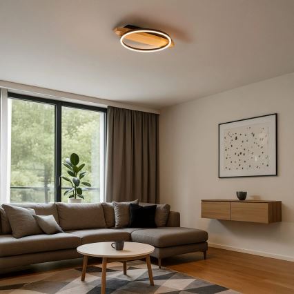 LED griestu lampa MELISA LED/12W/230V 30x40 cm priede