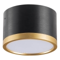 LED Griestu lampa MIRELLA 1xGX53/6W/230V melna/zelta