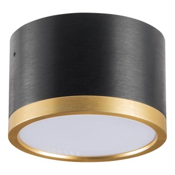 LED Griestu lampa MIRELLA 1xGX53/6W/230V melna/zelta
