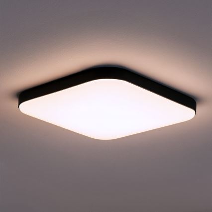LED griestu lampa NEMO LED/36W/230V 50x50 cm melna