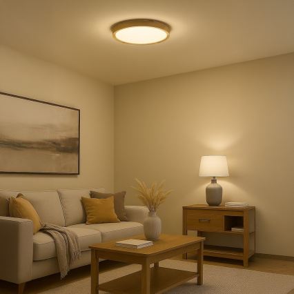 LED griestu lampa ORINOKO LED/36W/230V Ø 48 cm bēša