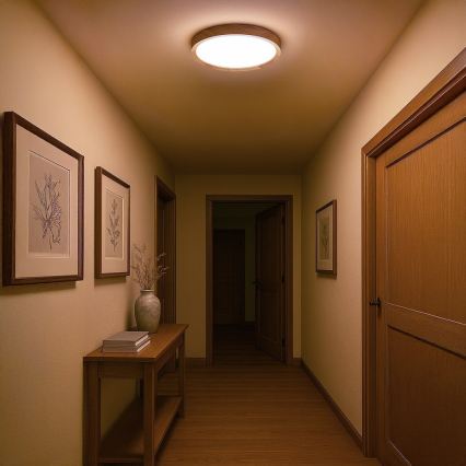 LED griestu lampa ORINOKO LED/36W/230V Ø 48 cm bēša