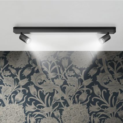 LED Griestu lampa PARĪZE LED/24W/230V + 2xGU10/10W melna