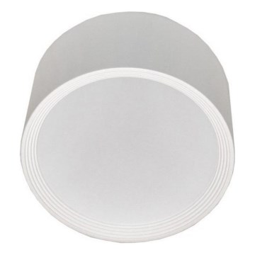LED Griestu lampa PERCI LED/20W/230V IP40 4000K balta