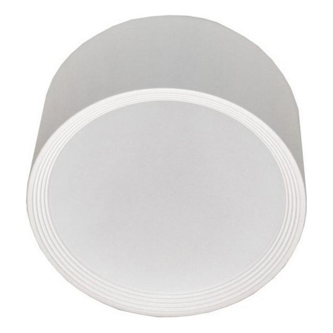 LED Griestu lampa PERCI LED/20W/230V IP40 4000K balta