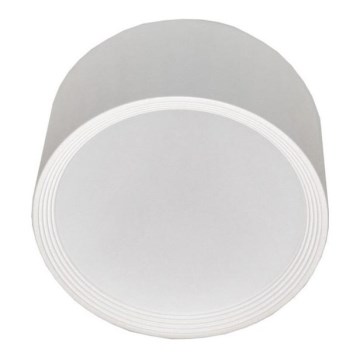 LED Griestu lampa PERCI LED/30W/230V IP40 2700K balta