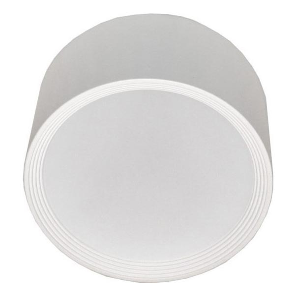 LED Griestu lampa PERCI LED/30W/230V IP40 4000K balta