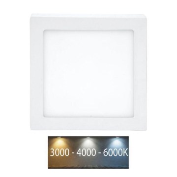 LED Griestu lampa RAFA LED/12W/230V 3000/4000/6000K 17x17 cm balta