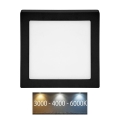 LED Griestu lampa RAFA LED/12W/230V 3000/4000/6000K 17x17 cm melna