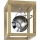 LED Griestu lampa ROY 1xGU10/5W/230V matēts ozols
