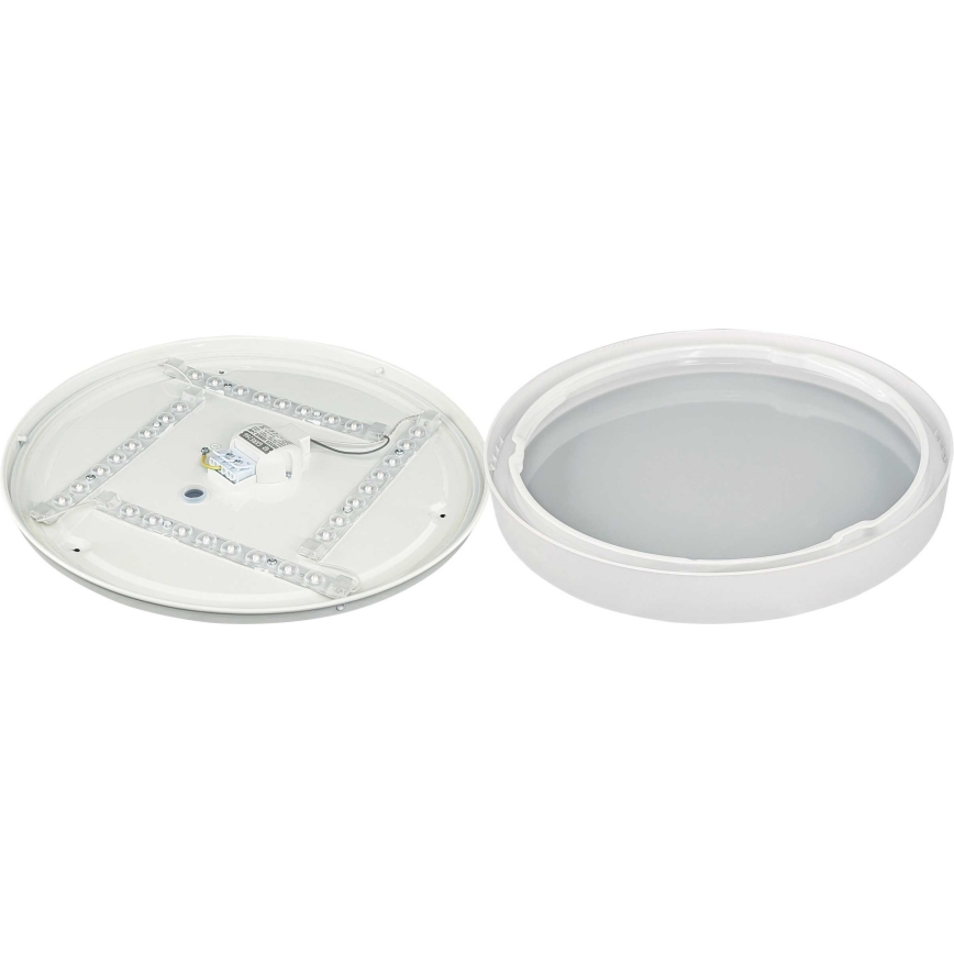 LED Griestu lampa SAMER LED/24W/230V 4000K