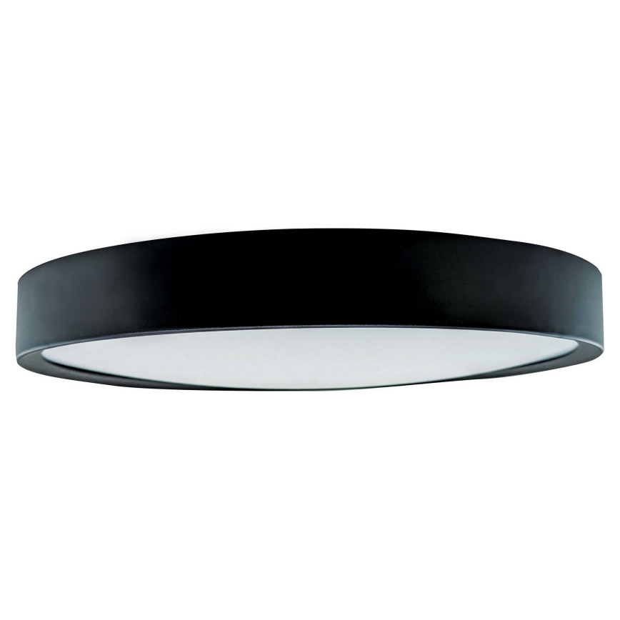 LED Griestu lampa SAMER LED/24W/230V 4000K