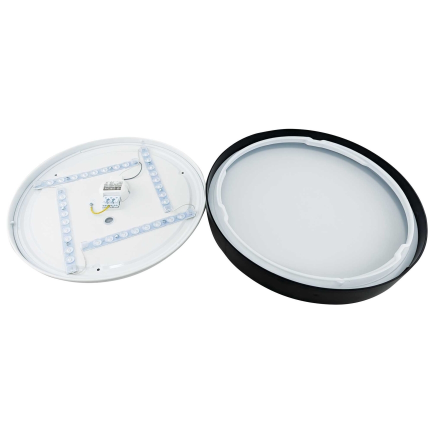 LED Griestu lampa SAMER LED/24W/230V 4000K