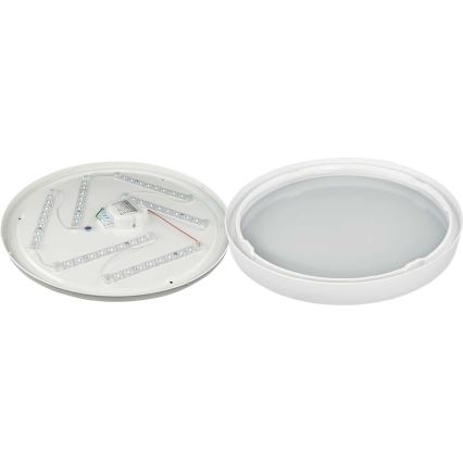 LED Griestu lampa SAMER LED/32W/230V 4000K