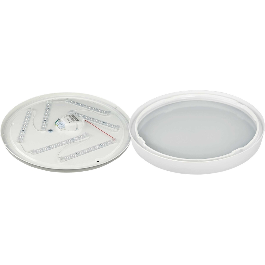 LED Griestu lampa SAMER LED/32W/230V 4000K