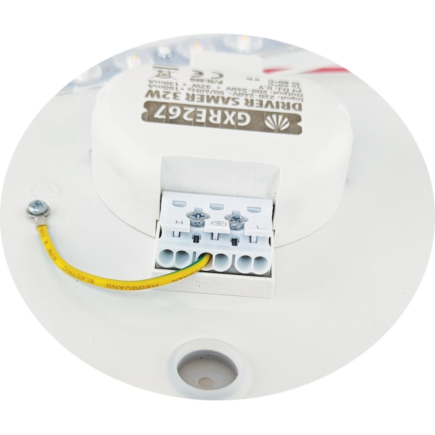 LED Griestu lampa SAMER LED/32W/230V 4000K