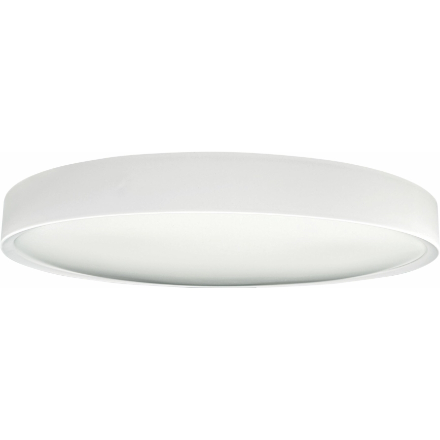 LED Griestu lampa SAMER LED/40W/230V 4000K