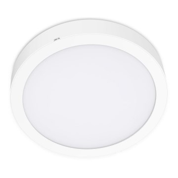 LED Griestu lampa SIGARO CIRCLE LED/18W/230V 4000K IP40