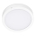 LED Griestu lampa SIGARO CIRCLE LED/18W/230V 4000K IP40