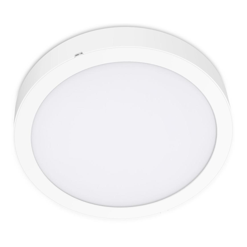 LED Griestu lampa SIGARO CIRCLE LED/24W/230V 4000K IP40