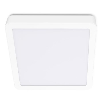 LED Griestu lampa SIGARO SQUARE LED/18W/230V 4000K IP40