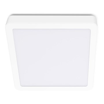 LED Griestu lampa SIGARO SQUARE LED/24W/230V 4000K IP40