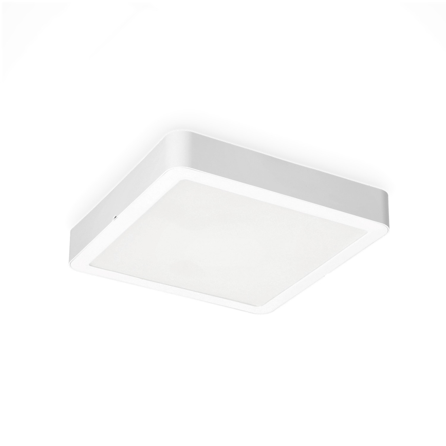 LED Griestu lampa SIGARO SQUARE LED/24W/230V 4000K IP40