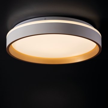 LED Griestu lampa SOLN LED/17,5W/230V d. 38 cm balta/zelta