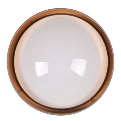 LED Griestu lampa TULUZA LED/24W/230V d. 40 cm brūna