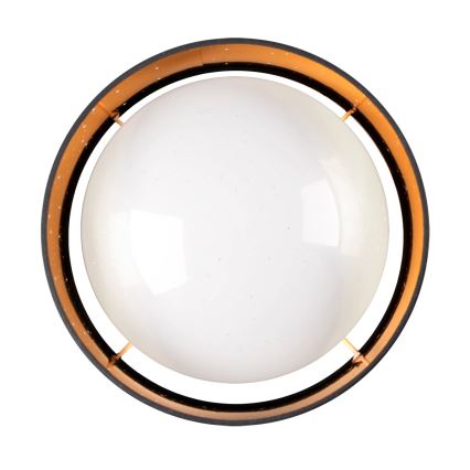 LED Griestu lampa TULUZA LED/24W/230V d. 40 cm melna