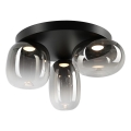 LED Griestu lampa VASO LED/12W/230V d. 42 cm melna/dūmakains
