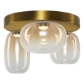 LED Griestu lampa VASO LED/12W/230V d. 42 cm zelta/dūmakains