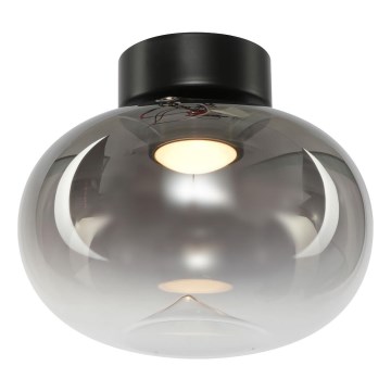 LED Griestu lampa VASO LED/4W/230V d. 18 cm dūmakains
