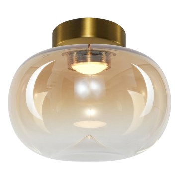 LED Griestu lampa VASO LED/4W/230V d. 18 cm zelta/dūmakains