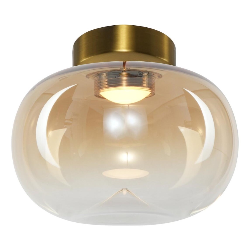 LED Griestu lampa VASO LED/4W/230V d. 18 cm zelta/dūmakains