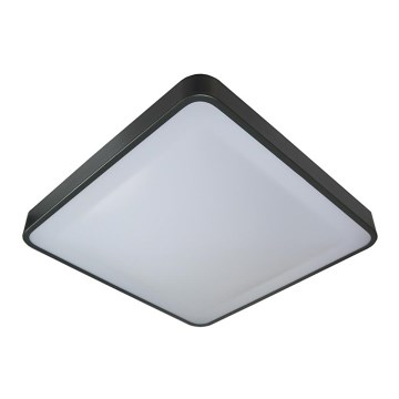 LED Griestu lampa WILTON LED/24W/230V 37,5x37,5 cm antracīta