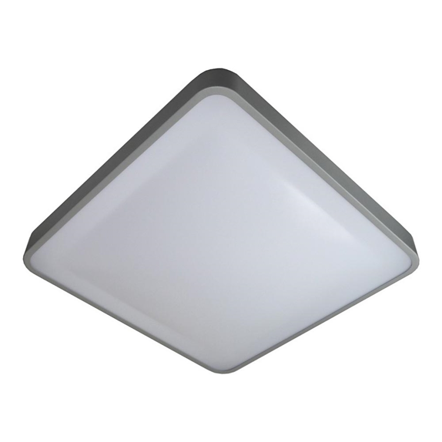 LED Griestu lampa WILTON LED/24W/230V 37,5x37,5 cm pelēka