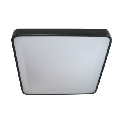 LED Griestu lampa WILTON LED/24W/230V 37,5x37,5 cm antracīta