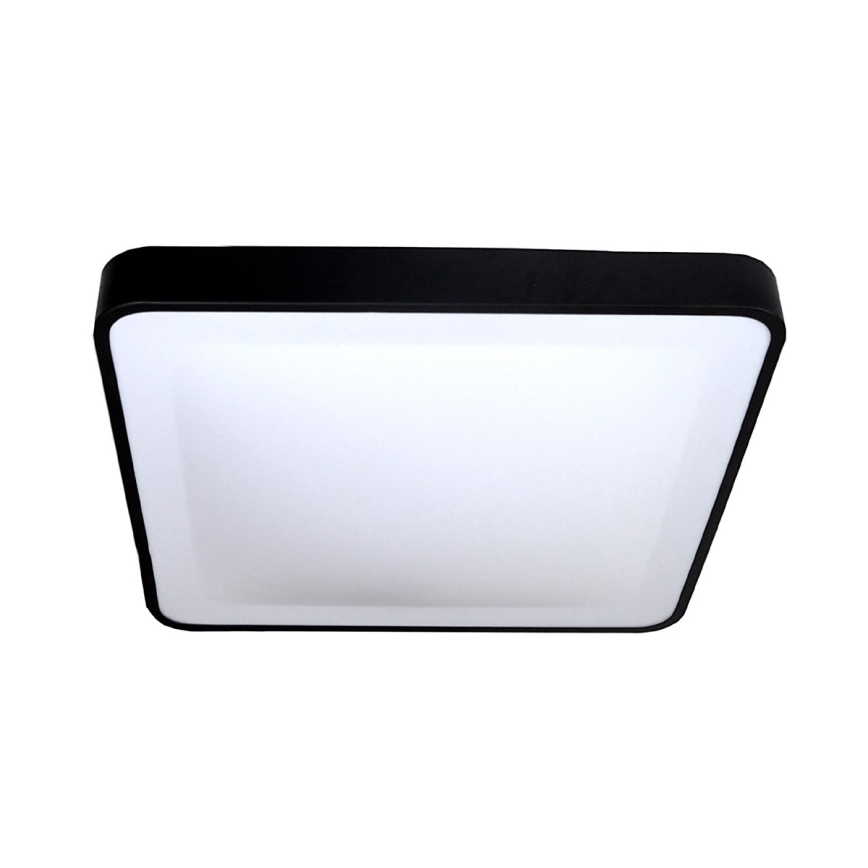 LED Griestu lampa WILTON LED/24W/230V 37,5x37,5 cm melna