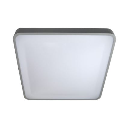 LED Griestu lampa WILTON LED/24W/230V 37,5x37,5 cm pelēka