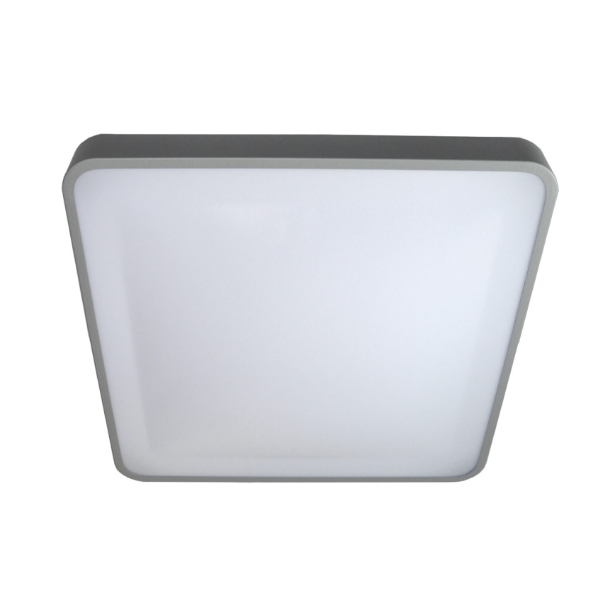 LED Griestu lampa WILTON LED/24W/230V 37,5x37,5 cm pelēka