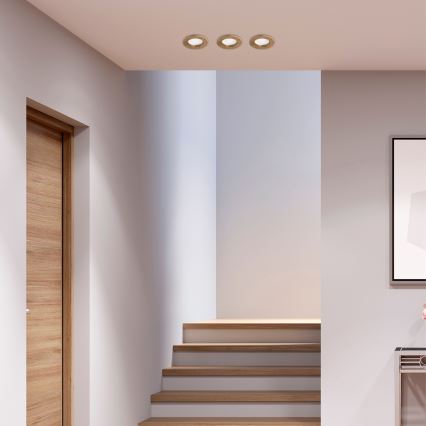 LED Iebūvējamais gaismeklis WOODY SPOT LED/5,5W/230V 4000K valrieksts Ø 10 cm