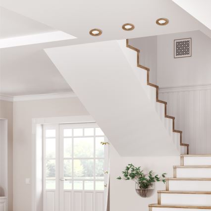 LED Iebūvējamais gaismeklis WOODY SPOT LED/5,5W/230V 4000K valrieksts Ø 10 cm