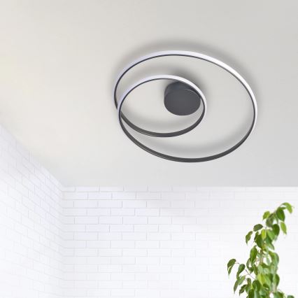 LED Griestu lampa ZEFIRA LED/40W/230V 4000K d. 50 cm antracīta