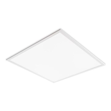LED griestu panelis DAVRO LED/40W/230V 4000K 59,5x59,5 cm balts