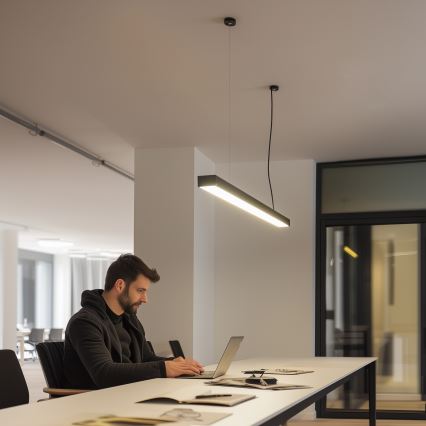 LED griestu virsmas piekārtais gaismeklis CYNIDECO LED/12W/230V 4000K melns