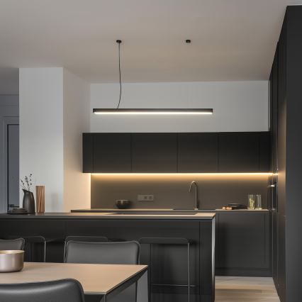 LED griestu virsmas piekārtais gaismeklis CYNIDECO LED/12W/230V 4000K melns