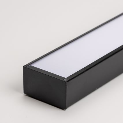 LED griestu virsmas piekārtais gaismeklis CYNIDECO LED/12W/230V 4000K melns