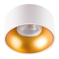 LED Iebūvējamais gaismeklis MINI RITI 1xGU10/25W/230V balts/zelta